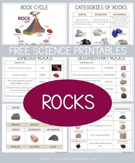 Free Science Printables, Geology Activities, Rock Unit, Earth Science Activities, Rock Science, Earth Science Lessons, Science Printables, Science Earth, Cc Cycle 1