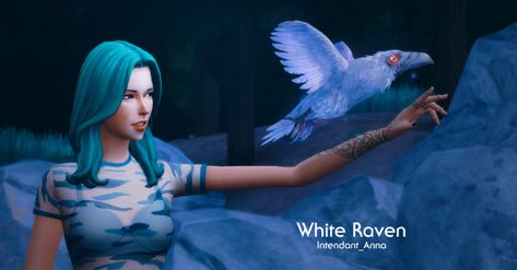 Owl Familiar, There Can Only Be One, White Raven, Raven Bird, Sims 4 Mm, Sims 4 Characters, Sims4 Cc, Sims 4 Game, Sims 4 Cc Finds