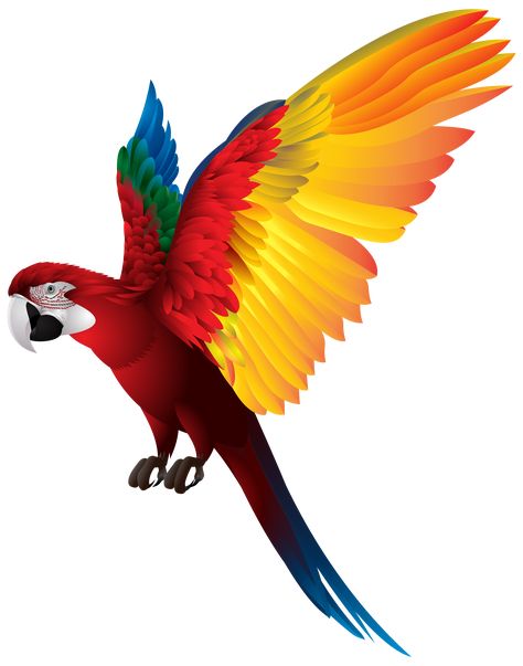 Parrot Flying, Blurred Background Photography, Blur Background Photography, Desktop Background Pictures, Black Background Photography, Pink Background Images, Blur Photo Background, Photo Background Images Hd, Best Photo Background