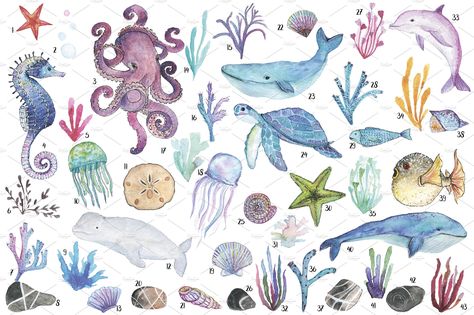 Watercolor Steps, World Watercolor, Ocean Drawing, Sea Creatures Art, Fun Clip, Fauna Marina, Undersea World, Watercolor Elements, Watercolor Set