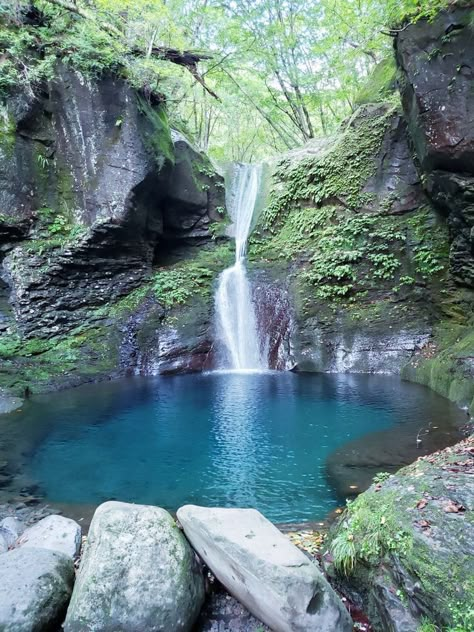 Nature Pool, Pool Landscape Design, Natural Pond, Shotting Photo, Plitvice Lakes, Mountain Stream, Pretty Landscapes, Natural Pool, Scenery Nature