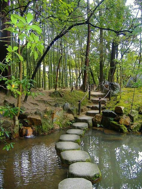 Tenjuan Garden, Kyoto, Japan Taman Air, Stone Path, Stepping Stone, Kyoto Japan, Water Feature, Alam Yang Indah, Nature Aesthetic, Garden Paths, Japanese Garden