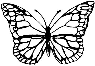 Butterfly template for shrink plastic                                                                                                                                                                                 More Plastic Fou, Shrinky Dink Crafts, Shrinky Dink Jewelry, About Butterfly, Shrink Plastic Jewelry, Butterfly Outline, Butterfly Cutout, Shrink Art, Tattoo Templates