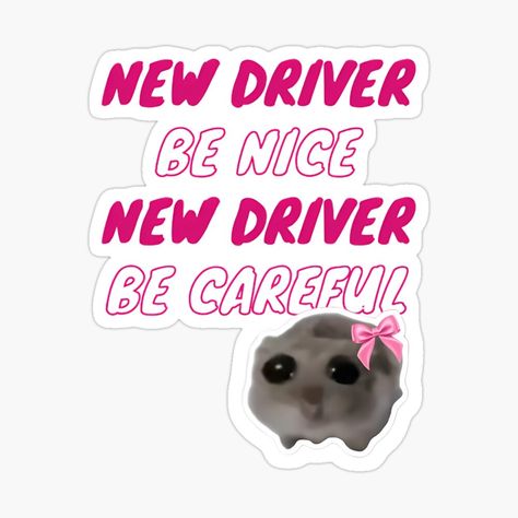 Sad hamster new driver so cute design meme, tiktok meme, kindness New Driver Sticker, Preppy Things, Type Shi, New Driver, Meme Stickers, New Drivers, Be Nice, Cute Design, I Got This