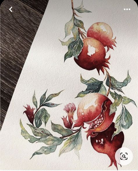 Watercolor Fruit Paintings, Pomegranate Watercolor, Pomegranate Drawing, Watercolor Pomegranate, Pomegranate Painting, Botanical Sketchbook, Pomegranate Art, Watercolor Paintings Nature, Acrylic Art Projects