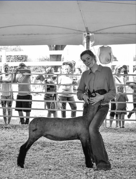 Lamb Showmanship, Sheep Showing, Livestock Photography, Livestock Judging, Ag Education, Showing Livestock, Dream Horse, County Fair, Ffa