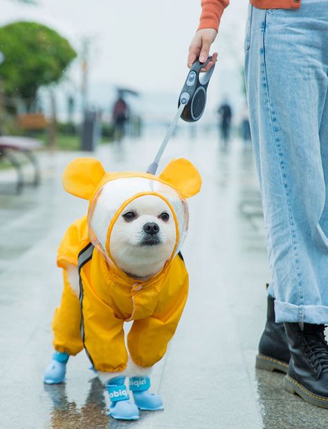 Dogs In Raincoats, Raincoat For Dogs, Dog Rain Coat, Dog Umbrella, Coat Waterproof, Cute Dog Clothes, Dog Raincoat, Bear Dog, Animal Hats