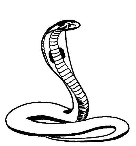 King Cobra, : King Cobra Coloring Pages Gingerbread Man Coloring Page, Snake Heads, Disney Drawing Tutorial, Easy Greeting Cards, Cobra Tattoo, Disney Drawing, Snake Drawing, Pages To Color, Flag Coloring Pages