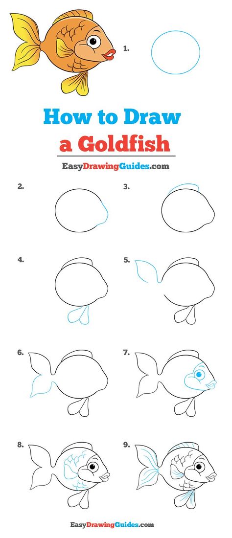 Goldfish Drawing Lesson. Free Online Drawing Tutorial for Kids. Get the Free Printable Step by Step Drawing Instructions on https://easydrawingguides.com/how-to-draw-a-goldfish/ . #Goldfish #LearnToDraw #ArtProject How To Draw Goldfish, Goldfish Drawing Easy, Directed Drawing Kindergarten, Cartoon Goldfish, Underwater Drawing, Draw Doodles, Ocean Drawing, Koi Fish Drawing, Cartoon Drawings Of Animals