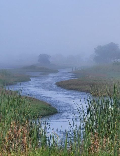 St. Marks and St. Vincent National Wildlife Refuges Photography Group | Peaceful foggy morning scenery in our precious refuge | Facebook Morning Scenery, Photography Group, Boat Art, Foggy Morning, St Vincent, Great Pictures, Photography, Art