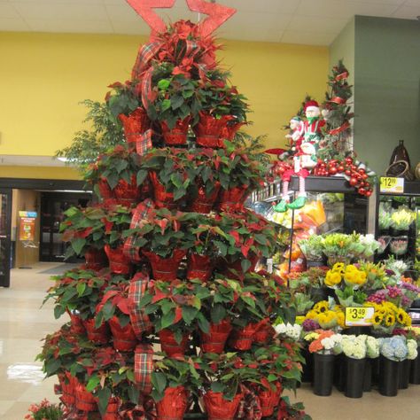 Creative Display Center | Potted Plant Tree Racks - Silk Poinsettias | Tree Displays Diy Poinsettia, Plant Racks, Poinsettia Tree, Garden Center Displays, Diy Rack, Poinsettia Plant, Plant Display, Plant Tree, Diy Valentine