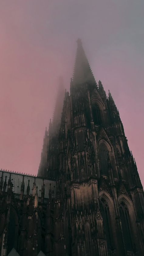 The 🇩🇪 Cologne cathedral, one of the most stunning gothic cathedrals in the world #köln #cologne #dom #kölnerdom #kölle #colognecathedral #germany #deutschland #nrw #gothic #gothiccathedral #fy #fyp #foryou #foryoupage Gothic Castle, Trippy Visuals, Gothic Cathedrals, Gothic Cathedral, Cologne Germany, Cool Instagram Pictures, Dark Academia Aesthetic, Gothic Architecture, Academia Aesthetic