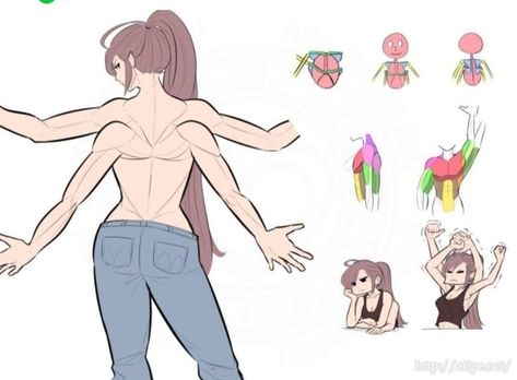 Concept Art Drawing, Figure Drawing Reference, Creature Concept Art, Anatomy Art, 영감을 주는 캐릭터, Art Poses, Art Tutorials Drawing, Anime Poses Reference, Drawing Base