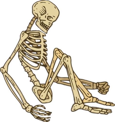 Sitting Skeleton Tattoo, Skeleton Laying Down Drawing, Skeleton Sitting Drawing, Skeleton Sitting Down, Skeleton Sitting In Chair, Skeleton Laying Down, Sitting Skeleton, Drawing Sitting, Skeleton Sitting