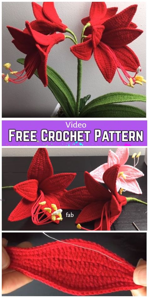 Amaryllis Flower Bouquet Crochet Free Pattern - Video Amaryllis Flower, Bouquet Crochet, Crochet Puff Flower, Crochet Free Patterns, Amaryllis Flowers, Crochet Flowers Easy, Crochet Flowers Free Pattern, Crochet Bouquet, Crocheted Flowers