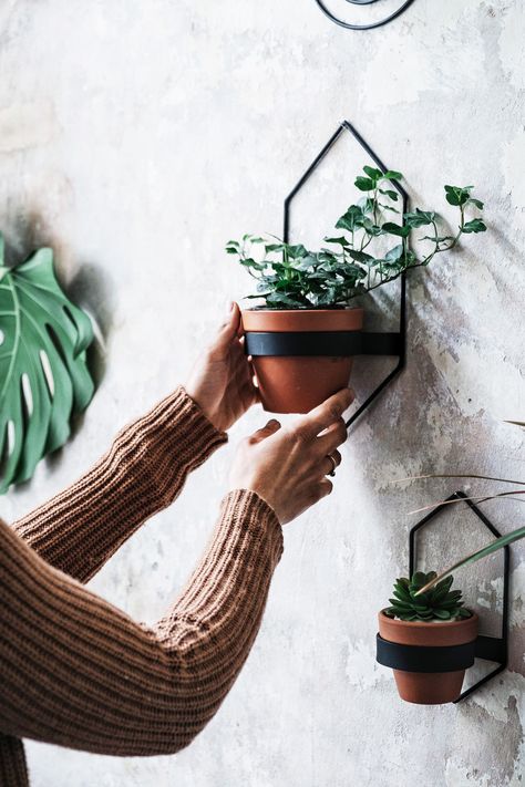 wall decor plants hanging planters scandinavic  simple lines ceramic pots #homedecor #livingroom #wallplanter #ceramicplanter #succulent