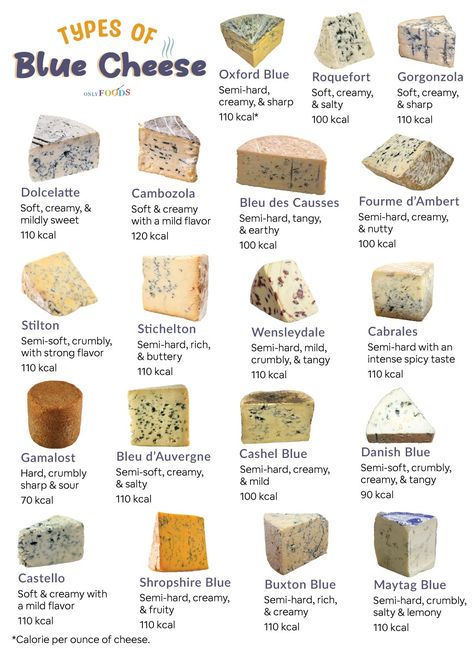 Learn what is blue cheese/bleu cheese with examples of the best types. Find a list of all the blue cheeses with taste, pairing ideas, and calories Cheese Name List, Blue Cheese Pairing, Cheese Knowledge, Cheese Benefits, Cheese List, Cheese Types, Charcuterie Business, Cheese Names, Cheese Night