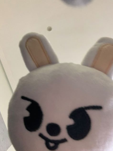 leebit got rizz🫣 Skzoo Plushies, Lee Minho Skz, Cute Squishies, Skz Stay, Lee Know Stray Kids, Skz Memes, Lil Baby, Homeless Children, Human Emotions