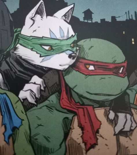 Usagi Tmnt 2012, Sliding Bookcase, Usagi Tmnt, Idw Tmnt, Tmnt Idw, Dan Mora, Tmnt Usagi, Raphael Tmnt, Idw Comics