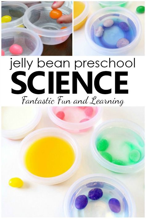 Easy Jelly Bean Preschool Science Experiment for Easter Letter J Activity, Bean Science Experiment, Jelly Bean Science Experiment, Letter J Activities, Chemistry Experiments For Kids, Easter Science, Pre-k Science, Middle School Science Experiments, Science Experiments For Preschoolers