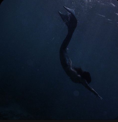 Siren Aesthetic Mermaid, Mermaid Dark Aesthetic, Mermaid Art Aesthetic, Siren Astethic, Mermaid Aesthetic Dark, Sirene Aesthetic, Dark Siren Aesthetic, Sirens Aesthetic, Mermaids Aesthetic