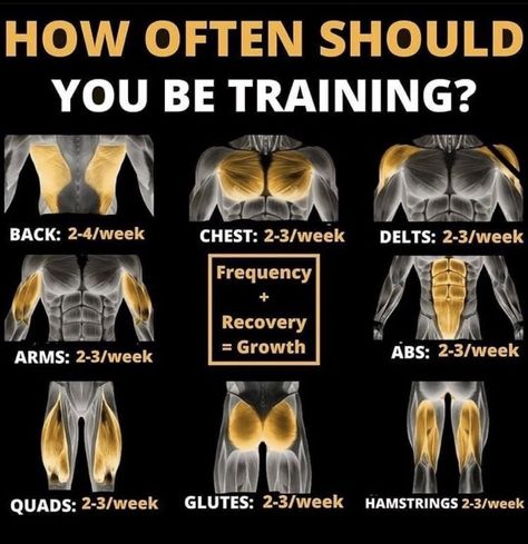 Weight Lifting Schedule, Gym Workout Guide, Bodybuilding Workouts Routines, Full Body Workout Routine, Bodybuilding Workout Plan, Gym Workouts For Men, Gym Food, Weight Training Workouts, Workout Memes