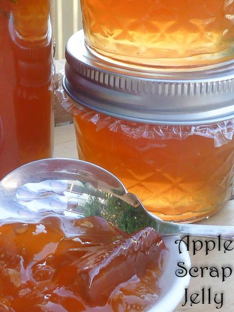 Apple Scrap Jelly Recipe - Waste Not, Want Not Apple Scrap Jelly Recipe, Apple Scrap Jelly, Apple Jelly Recipe, Bite Size Food, Canning Jam, Apple Jelly, Canning Food Preservation, Homemade Jelly, Jelly Recipe