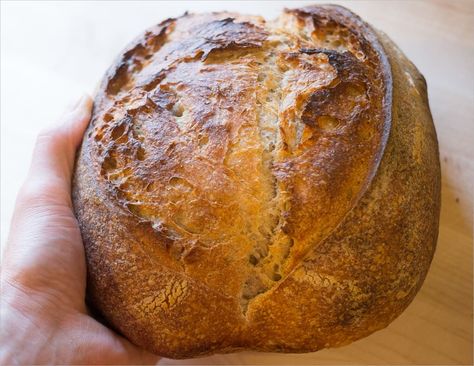 Country Loaf Bread Recipe, Germ Experiment, Loaf Bread Recipe, Tartine Bread, The Perfect Loaf, Homemade Sourdough Bread, Country Bread, Pain Au Levain, No Rise Bread