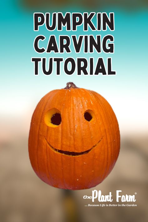 For those that are new to pumpkin carving, here is a quick tutorial. Best Way To Carve A Pumpkin, How To Carve A Pumpkin, Pumpkin Carving Tutorial, Pumpkin Carving Tips, Carving Tutorial, Pumpkin Carving Tools, Amazing Pumpkin Carving, Carving Tools, A Pumpkin