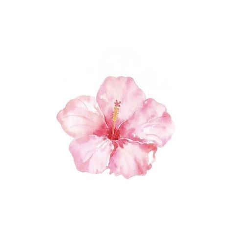 Baby Pink Flowers Aesthetic, Pink Flowers Widget, Flower Widget Icons, Pink And White Widgets, Pink Flower Drawing, Hawaii Aesthetic Flower, Orchid Flower Background, Aesthetic Pink Flowers, Pink Flower White Background