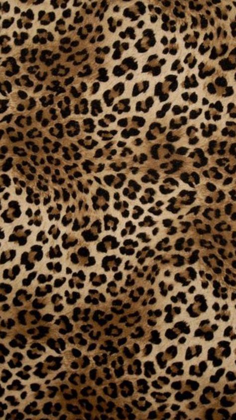 2000s Background, Leopard Print Wallpaper, Polaroid Template, Dreamy Art, Print Wallpaper, Ipad Wallpaper, Wallpaper Iphone Cute, Aesthetic Backgrounds, Cheetah Print