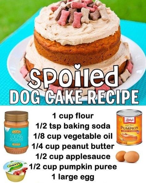 Kristin & Dawson Reddin on Instagram: “Check out this quick & easy recipe!! https://www.lovefromtheoven.com/spoiled-dog-cake-recipe/ #spoiledpuppy #spoileddogs #dogcakerecipe…” Spoiled Dog Cake, Dog Cake Recipe, Danny Dog, Dog Cake Recipes, Spoiled Dog, Pet Treats Recipes, Easy Dog Treat Recipes, Dog Biscuit Recipes, Easy Dog Treats