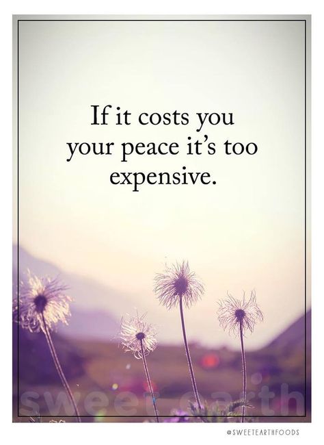 If it costs you your peace, it’s too expensive Inner Peace Quotes, Motiverende Quotes, Peace Quotes, Quotes About Life, Happy Quotes, Inner Peace, The Words, Spiritual Quotes, Wisdom Quotes