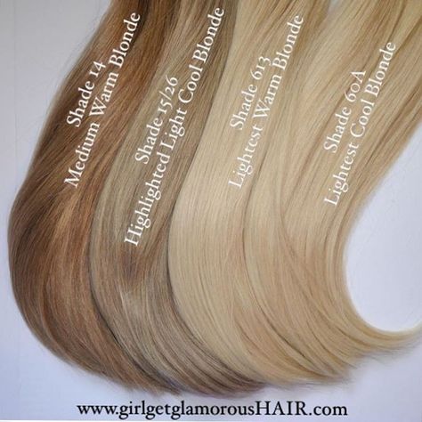 Tmavý Blond, Blonde Hair Extensions, Caramel Blonde, Warm Blonde, Hair Color Shades, Beige Blonde, Cool Blonde, Blonde Hair Inspiration, Blonde Hair Shades