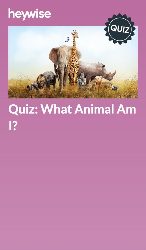 What Animal Am I Quiz, What Animal Am I, What Colors Represent, What Animal Are You, Which Hogwarts House, Animal Quiz, A Sloth, Visual Learning, Trivia Quiz