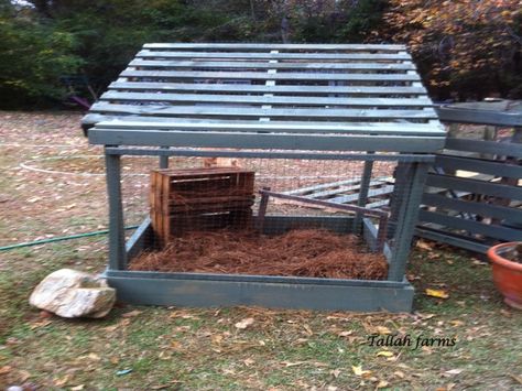 Tallah Farms: Pallet Chicken Coop Pallet Chicken Coop, Quail Coop, Chicken Coop Pallets, Urban Chicken Farming, Best Egg Laying Chickens, Laying Chickens, Duck Coop, Portable Chicken Coop, Egg Laying Chickens