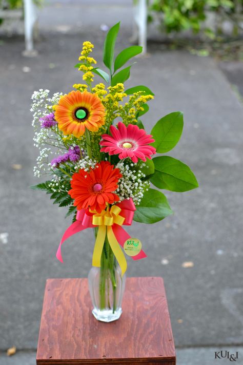 Gerber Flower Arrangements, Gerber Daisy Arrangements Vase, Gerber Daisy Flower Arrangements, Gerber Daisy Arrangements, Gerber Daisy Bouquet, Daisy Flower Arrangements, Gerbera Daisy Bouquet, Gerbera Bouquet, Floral Designs Arrangements