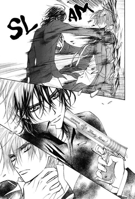 Vampire Knight Zero, Dengeki Daisy Manga, Vampire Knight Kaname, Medieval Witch, Vampire Knight Manga, Yuki Kuran, Zero Kiryu, Matsuri Hino, Kaname Kuran