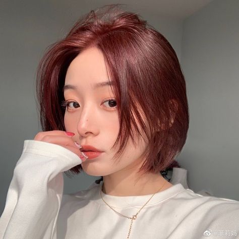 Red Short Hairstyles, Red Hair Color Short Haircuts, Short Straight Red Hair, Short Korean Hair, Red Hair Asian, Short Red Hair, Korean Hair Color, Korean Short Hair, Hair Color Streaks