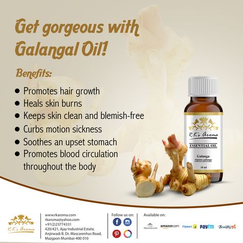 Galangal is a herb related to the ginger family! It provides numerous benefits for every aspect of life. Shop now: http://bit.ly/2kp53wQ #GoGreen #GreenLiving #ChemicalFree #PlantTherapy #HealthySkin #SelfLove #GlowGreen #Organic #Detox #Destress #GreenIsGood #PureSkin #BottledWellness #TherapyInABottle #Chemotherapy #skinlove #oil #clearskin #healthcare #Naturesreceipe Galangal Benefits, Galangal Recipe, Galangal Plant, Essential Oils For Gallbladder Issues, Galbanum Essential Oil, Ylang Ylang Essential Oil Benefits, Skin Burns, Upset Stomach, Plant Therapy