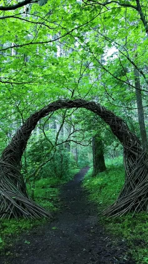 Magical Garden Fairytale, Forest Entrance, Forest Portal, Fairy Portal, September Vibes, Forest Room, Stone Archway, Forest Gate, Feeling Alive