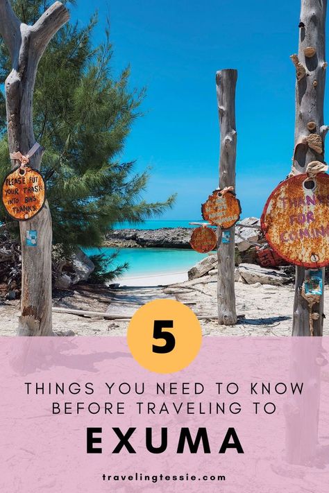 Ready for a tropical escape? Look no further than Exuma! But before you step on the plane, there are 5 things you need to know before traveling to this stunning island. From transportation to renting a car or boat, we've got you covered. So why wait? Head to our website now to start planning your dream vacation in Exuma. Bahamas Family Vacation, Bahamas Pigs, Caribbean Islands Vacation, Exuma Island, Tropical Paradise Beach, Abaco Bahamas, Pig Beach, Great Exuma, Exuma Bahamas