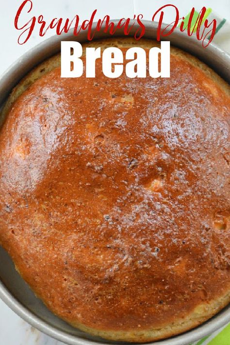 A down shot of Dilly Bread with text at the top Grandma's Dilly Bread. Cottage Bread Recipe, Dilly Bread Recipe, Dill Bread Recipe, Yeast Bread Loaf, Dilly Bread, Bread For Thanksgiving, Easy Yeast Bread, Cottage Bread, Cottage Cheese Bread Recipe