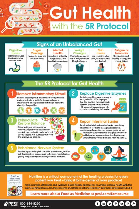 Free infographic to educate your patients on how to read and understand the signs of an unbalanced gut and how to follow the 5R protocol for better gut health. Hyper Nourishment Protocol, Healthy 2024, Diy Medicine Cabinet, Gut Protocol, Better Gut Health, Diy Medicine, The Best Version Of Me, Gastrointestinal System, Gut Brain