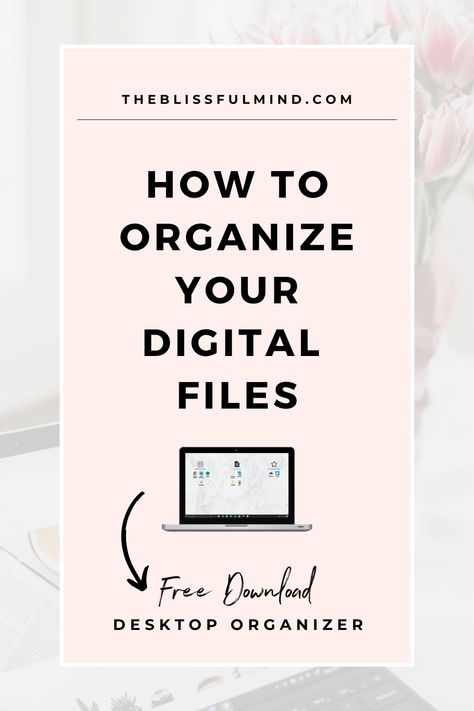 How To Organize Computer Files, How To Organize Digital Files, Organizing Computer Files, Organize Files Computer, Organize Digital Files, Computer Organization Desktop, Organize Computer Desktop, Files Organization, Organize Desktop