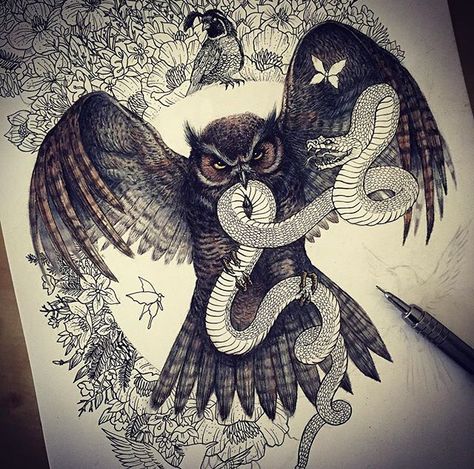 Owl catching snake illustration by saminthewolf. Owl Snake Tattoo, Owl And Snake Tattoo, Owl Eye Tattoo, Owl Tattoo Drawings, Tattoos Finger, Design Quotes Art, Snake Illustration, Animal Tattoo Ideas, Clever Tattoos