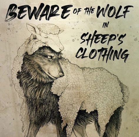 Wolf In Sheeps Clothing Art, Wolf In Sheeps Clothing, Sheep Clothing, Wolf Quotes, Clothing Art, Sheep Skin, Wolf Tattoos, Art Clothes, Collage Art