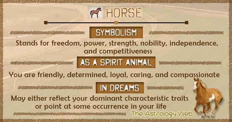 Horse Meaning and Symbolism | The Astrology Web Horse Symbolism, Horse Spirit Animal, Animal Totem Spirit Guides, Spirit Animal Meaning, Animal Meanings, Spirit Animal Totem, Animal Spirit Guide, Animal Spirit Guides, Animal Medicine