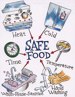 Safe-Food Food Safety And Sanitation Posters, Food Safety Posters, Food Safety And Sanitation, Kitchen Management, Food Safety Training, Kitchen Hygiene, Food Safety Tips, Take The Chance, Thanksgiving Prep