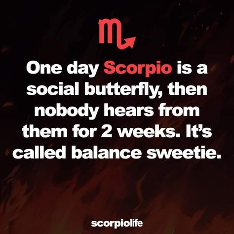 Scorpio Man Personality, Scorpio Signs, November Scorpio, Scorpio Power, Scorpio Queen, Zodiac Quotes Scorpio, Lady Scorpio, Scorpio Traits, Scorpio Girl